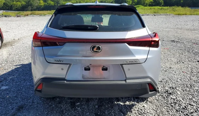 
								Lexus UX full									
