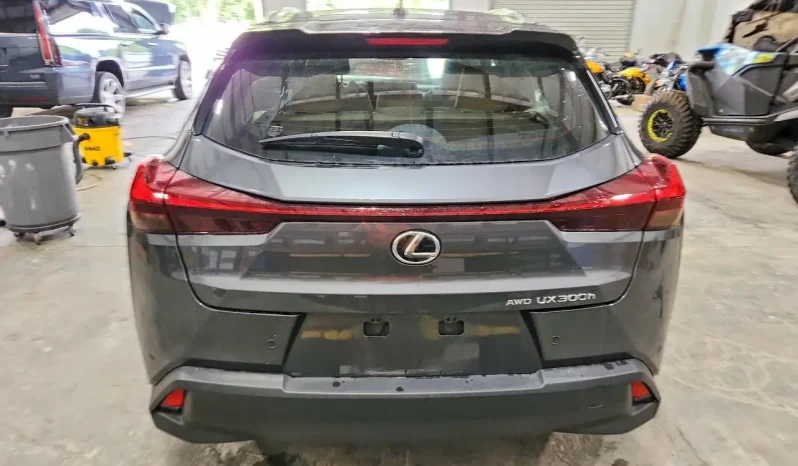 
								Lexus Ux full									