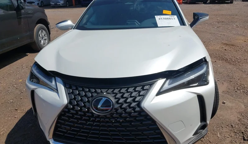 
								Lexus Ux 300h full									
