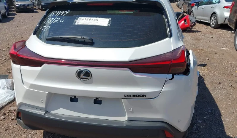
								Lexus Ux 300h full									