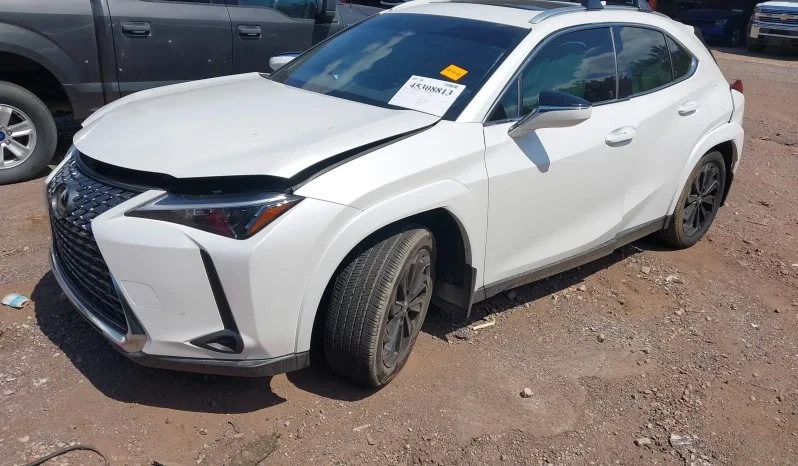 
								Lexus Ux 300h full									