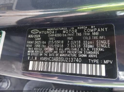 
										Hyundai Kona full									