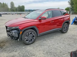 
										Hyundai Tucson full									