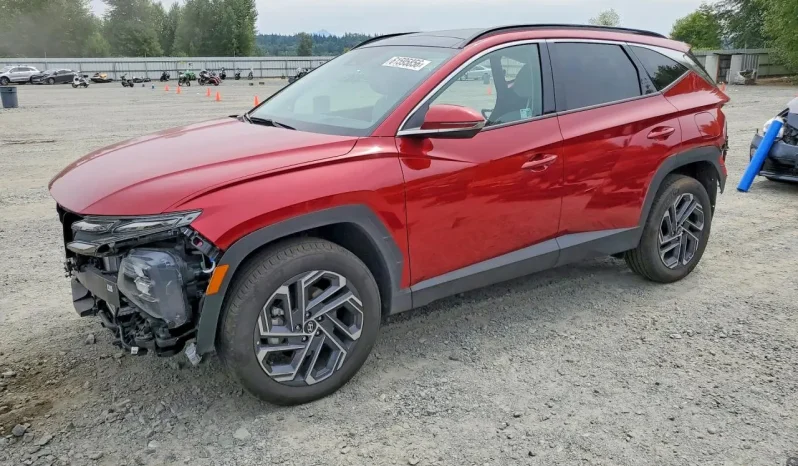
								Hyundai Tucson full									