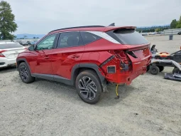 
										Hyundai Tucson full									