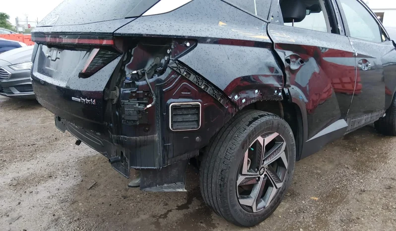 
								Hyundai Tucson full									