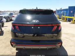 
										Hyundai Tucson full									