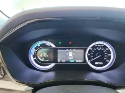 
										KIA Niro full									