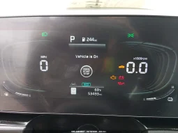 
										KIA Niro full									