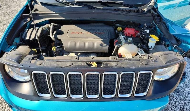 
								Jeep Renegade full									
