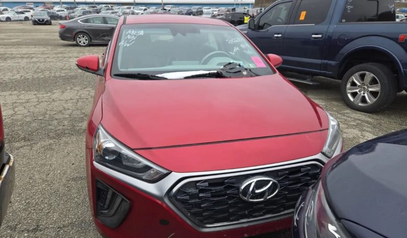 
								Hyundai Ioniq full									