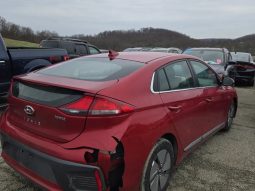
										Hyundai Ioniq full									