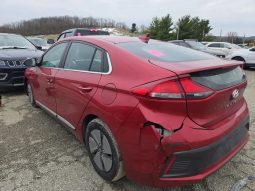 
										Hyundai Ioniq full									