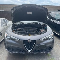 
										ALFA ROMEO STELVIO full									