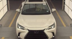 
										LEXUS NX350H full									