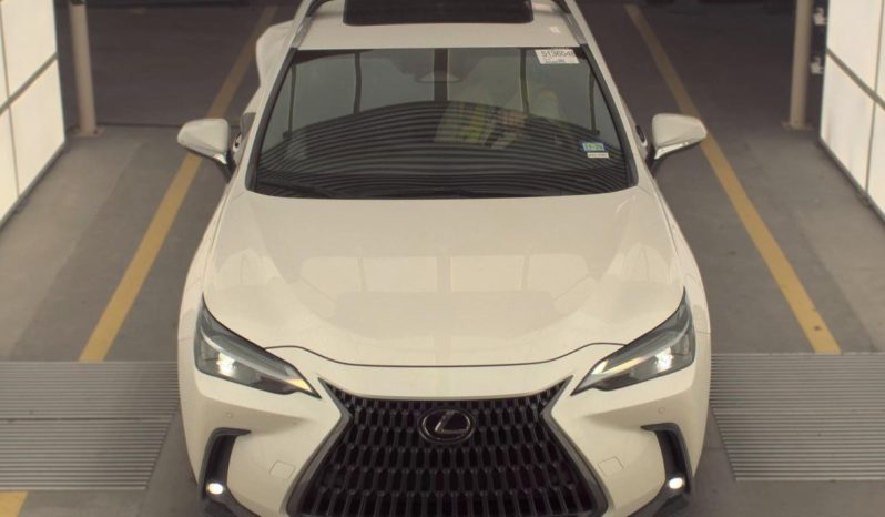
								LEXUS NX350H full									