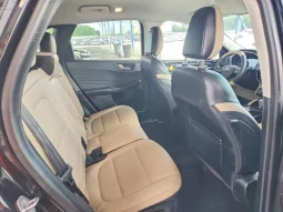 
										Ford Escape full									