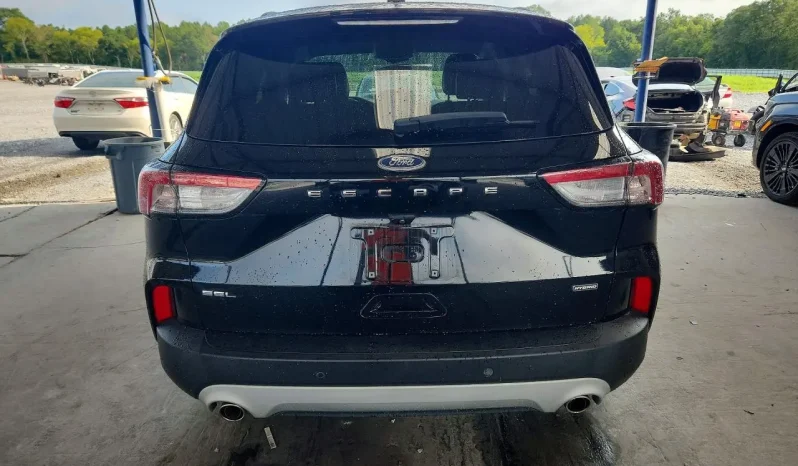 
								Ford Escape full									