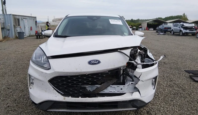 
								Ford Escape full									