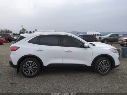 
										Ford Escape full									