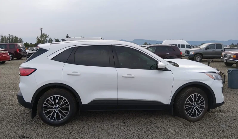 
								Ford Escape full									