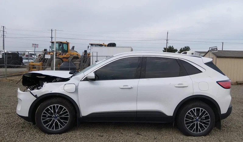 
								Ford Escape full									