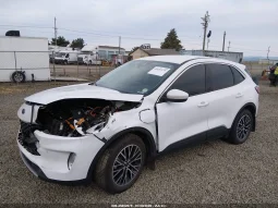 
										Ford Escape full									