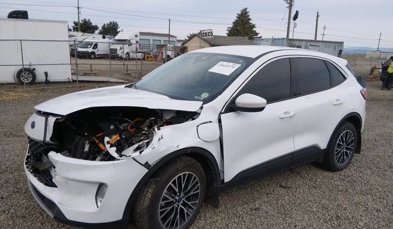 
								Ford Escape full									