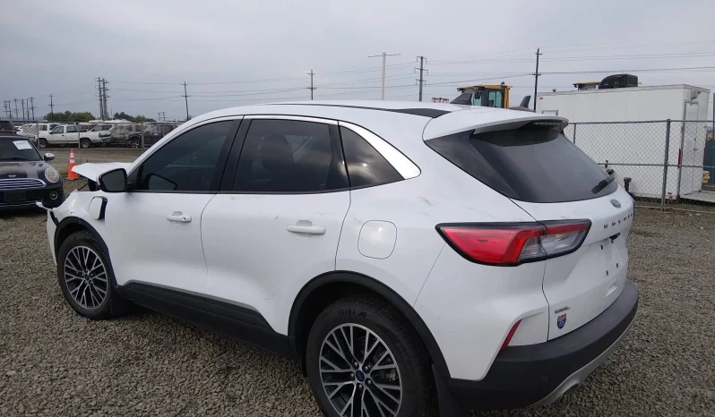 
								Ford Escape full									