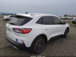 
										Ford Escape full									