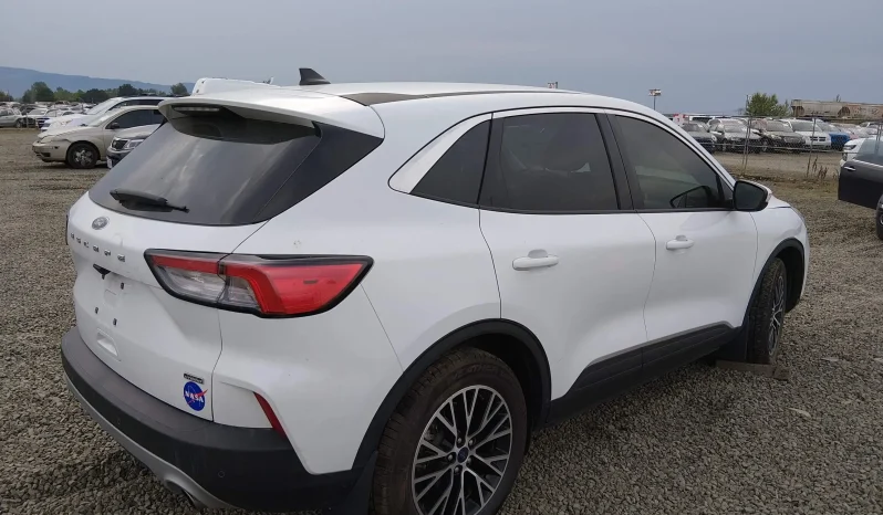 
								Ford Escape full									