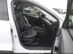 
										Ford Escape full									