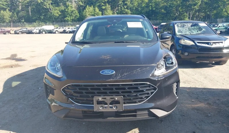 
								Ford Escape full									