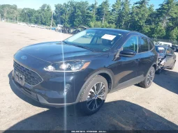 
										Ford Escape full									
