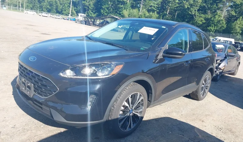 
								Ford Escape full									