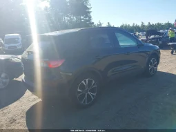 
										Ford Escape full									