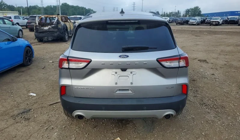 
								Ford Escape Hybrid full									