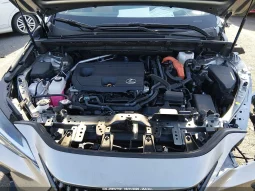 
										Lexus NX 350H full									