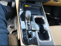 
										Lexus NX 350H full									