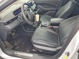 
										Ford Mustang full									