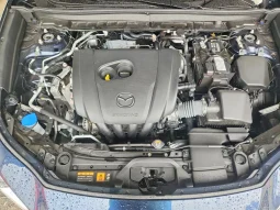 
										Mazda CX-30 full									