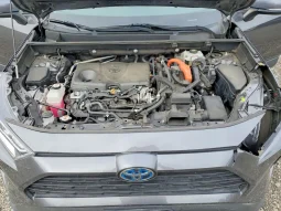 
										Toyota RAV4 full									