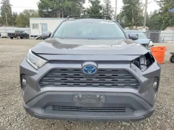 
										Toyota RAV4 full									