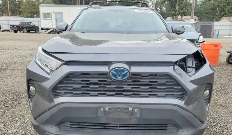 
								Toyota RAV4 full									