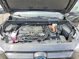 
										Toyota RAV4 full									