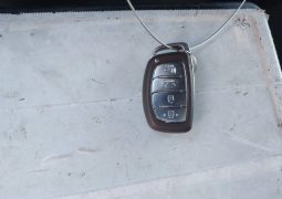 
										Hyundai Ioniq full									