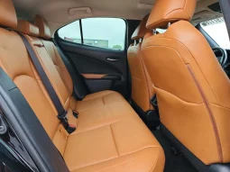 
										Lexus UX 250 full									