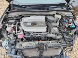 
										Lexus UX 250 full									