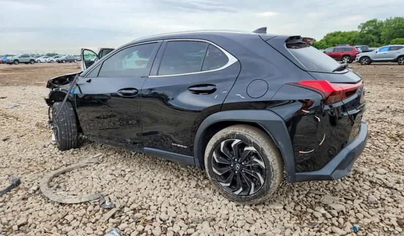 
								Lexus UX 250 full									