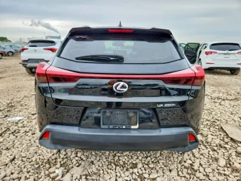 Lexus UX 250